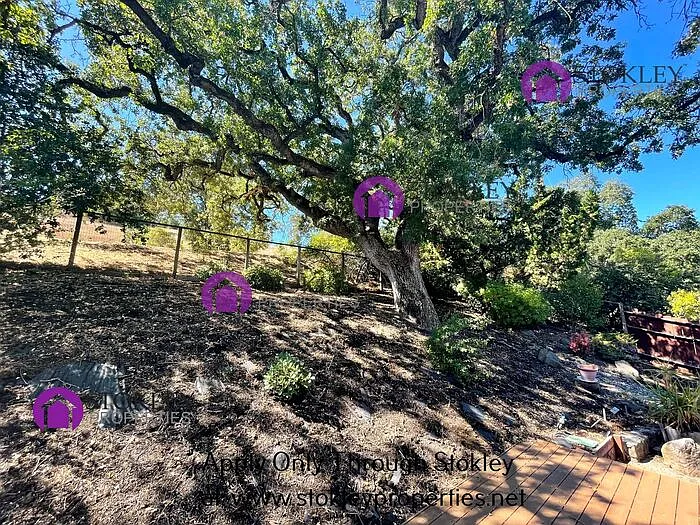 1833 Morello Ave — Photo 37