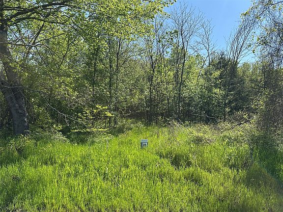 4th image of TRACT 20 County Road 2960