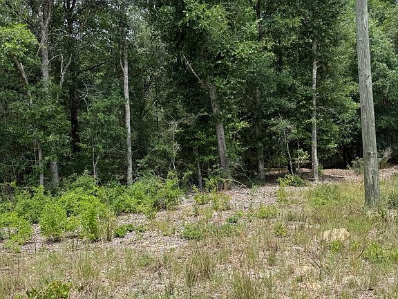 2nd image of Christopher Ln
