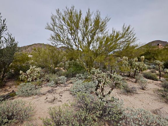 5th image of 4935 W Dove Nest Pl