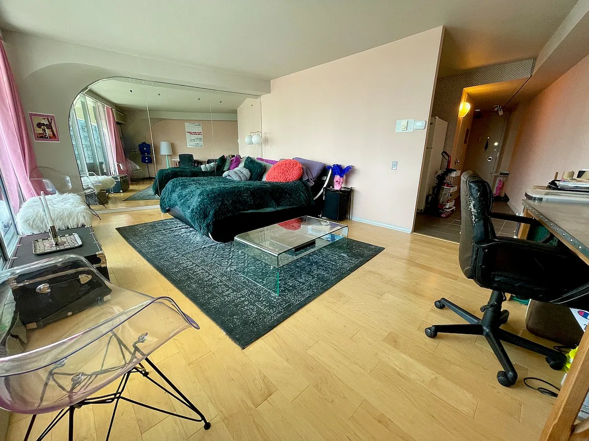Studio, 500 sqft, $2,000 — Photo 3
