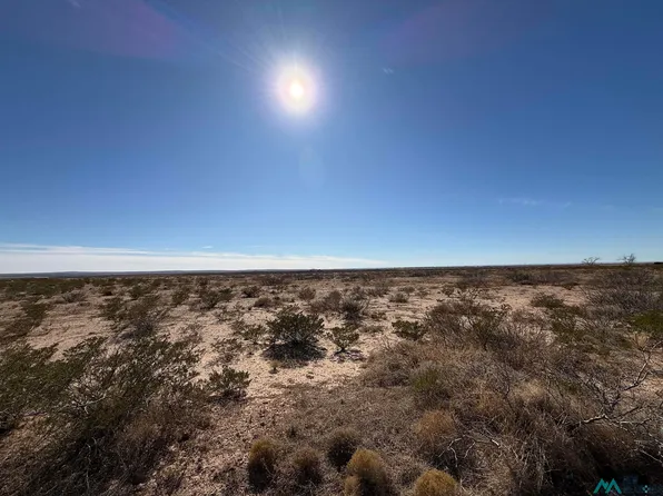 Jicarilla Rd, Hagerman, NM 88232