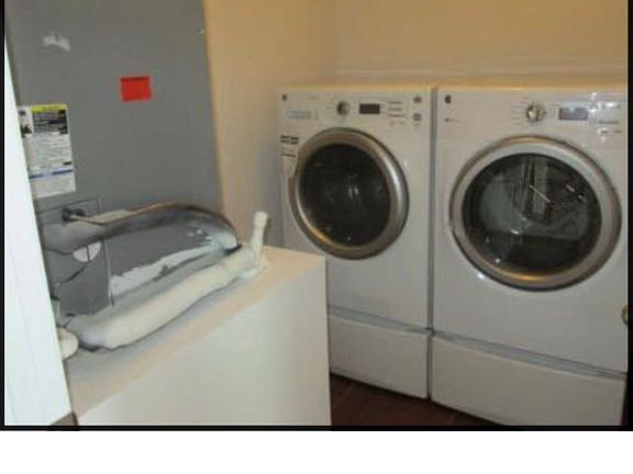 4th image of 319 Gladesdale St