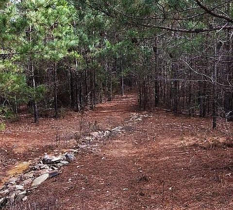Image 3: Trails