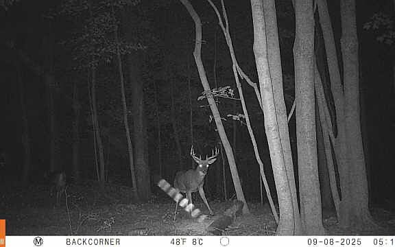 2nd image of Zion Rd