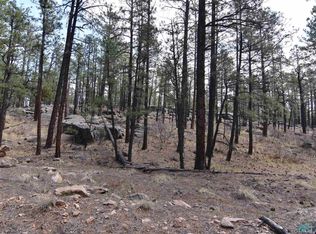 12/AC Beaver Pond Rd, Las Vegas, NM 87701