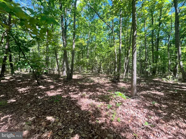 Elk Run Rd, Midland, VA 22728