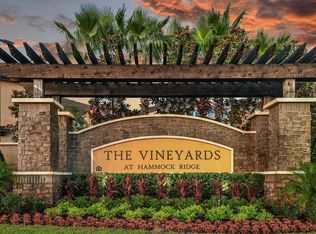 The Vineyards at Hammock Ridge, Clermont, FL 34711