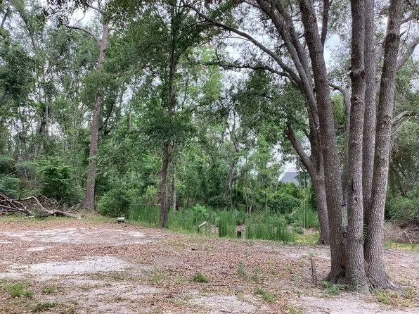 317 SE Centerwood Ln, Lee, FL 32059