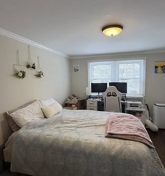 6 Hardwick Ter — Photo 4