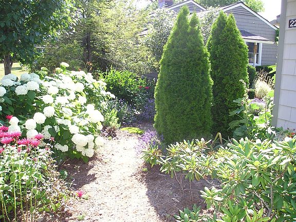 Flower Garden