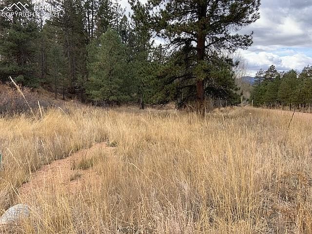 1st image of 186 Navajo Trl