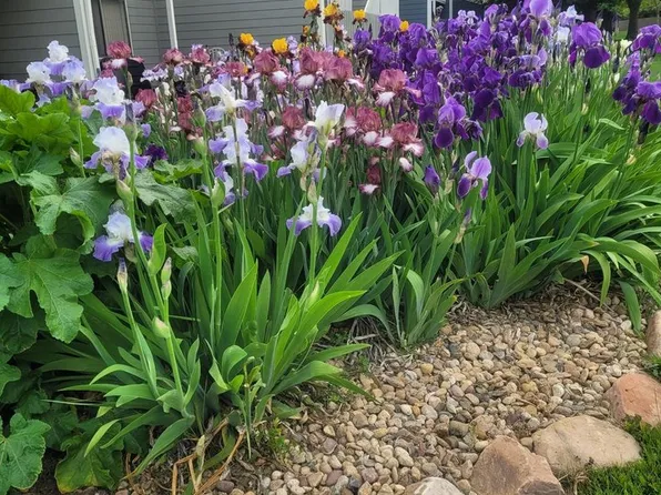 2950 Glenwood Dr, Boulder, CO 80301