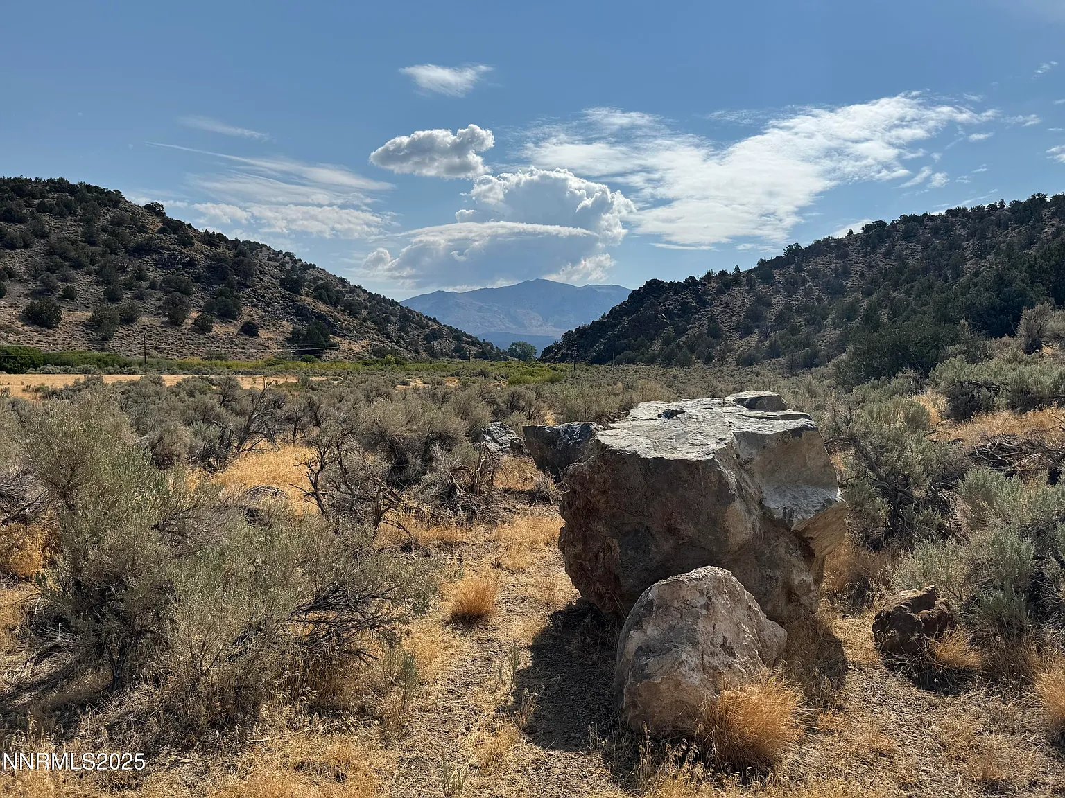 Old Ranch Rd #1 photo 1