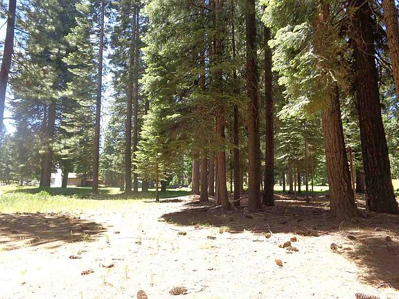 5th image of 256 Lake Almanor West Dr #1