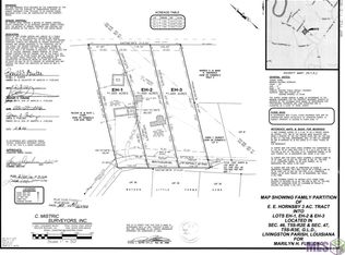 Eh 3 Ben Fugler Rd, Denham Springs, LA 70706