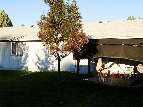 5th image of 1327 Placer Dr