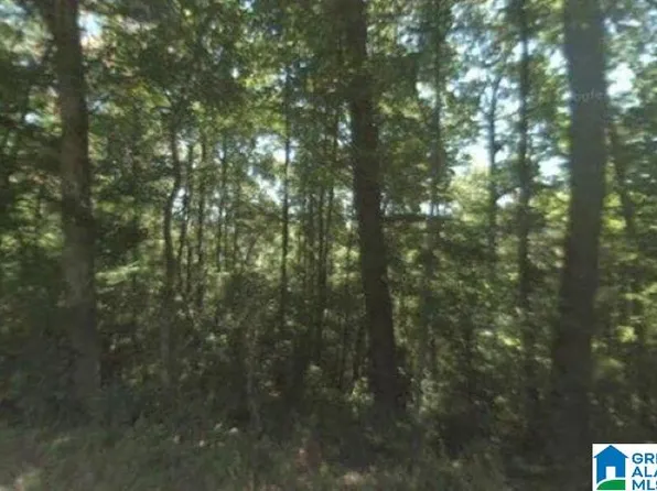 0 Dorning Rd Unit 0, Trafford, AL 35172