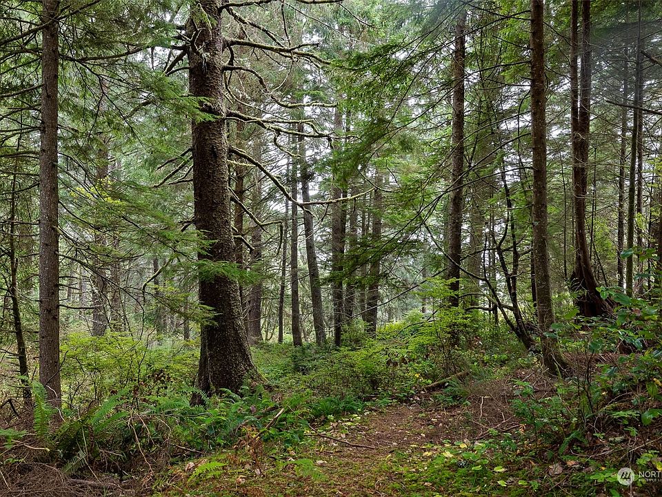 3515 State Route 109, Copalis Beach, WA 98535 MLS NWM2004889 Zillow