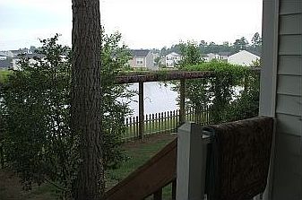 Pond View