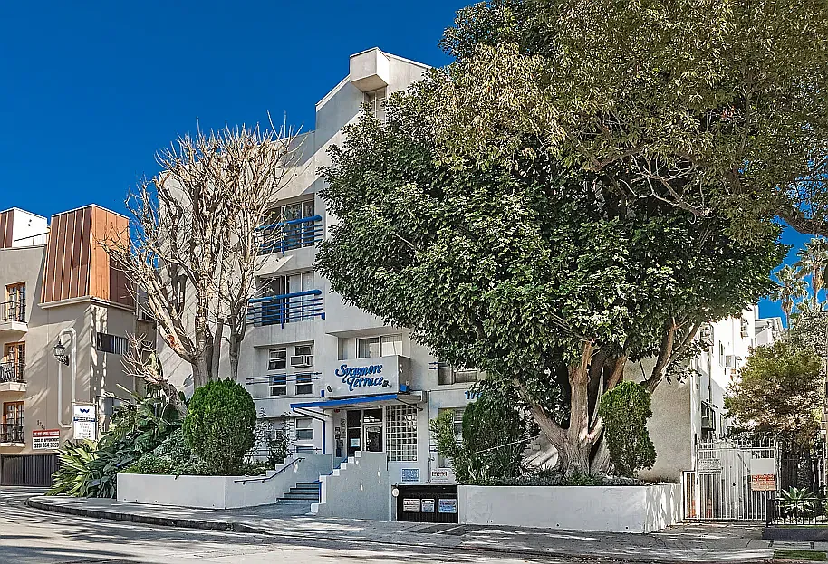 Sycamore Terrace — Photo 1