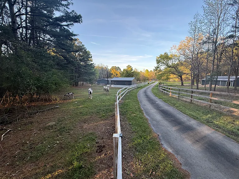 2850 County Road 233D — Photo 18