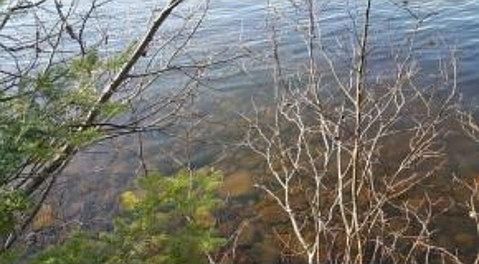 3rd image of Maple Ridge Rd