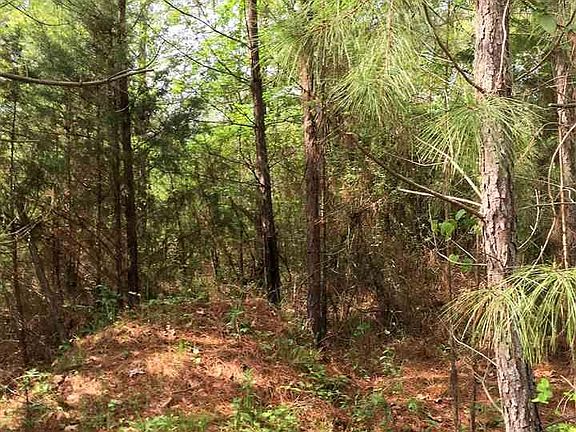 4th image of 30.0 Ac Cres #1504