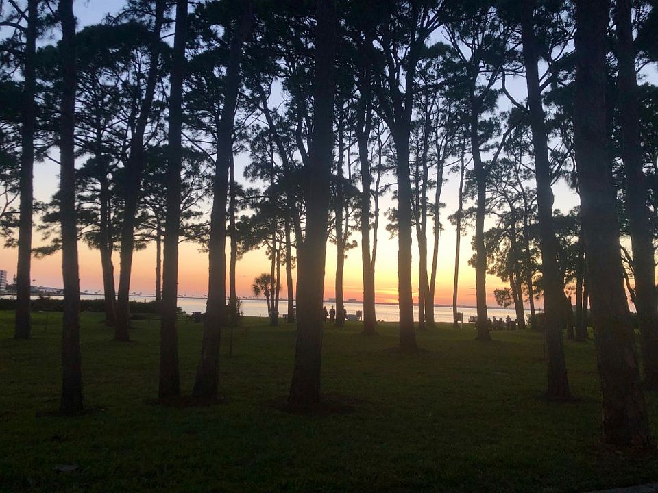 1st image of 2700 Bayshore Blvd APT 6102