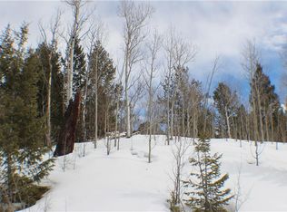 1051 Caracara Ln, Como, CO 80432