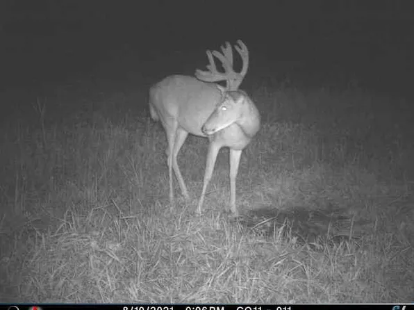 Highway 129, New Cambria, MO 63558