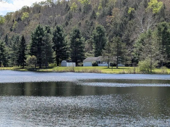 41 Fishbasket Hollow Dr, Austin, PA 16720