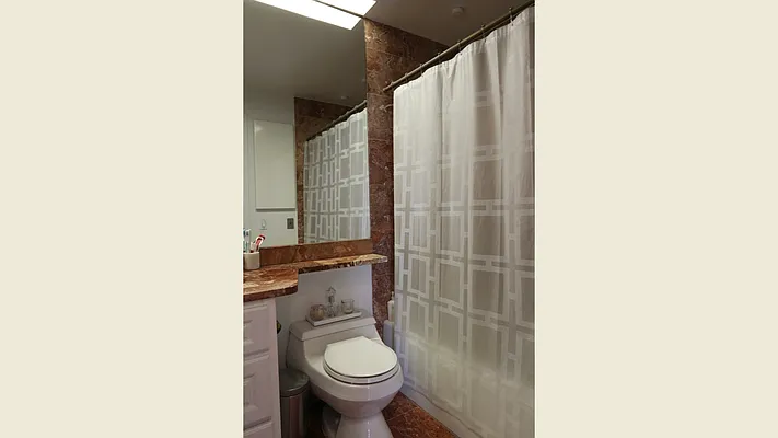 Rented by Luxus Manhattan Realty | media 6