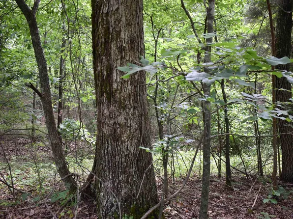 (undisclosed Address), Harrisburg, AR 72432