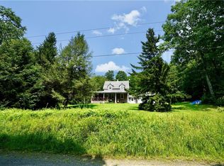 351 Old Hunter Rd, Livingston Manor, NY 12758
