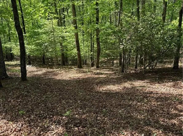 0 Mill Trace Ct Unit 16, Cleveland, GA 30528
