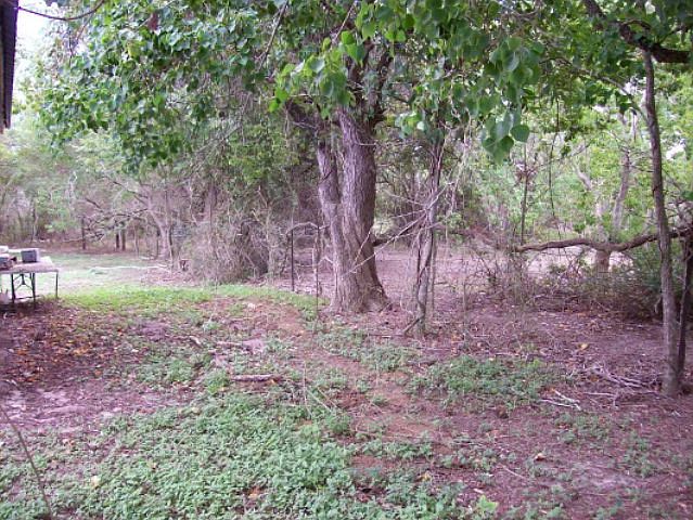 2nd image of 209 Miller Rd