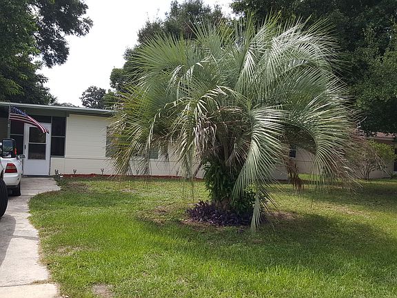 Pretty tree in front yard