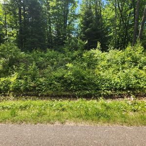 6820N Clover Road, Winter, WI, 54896