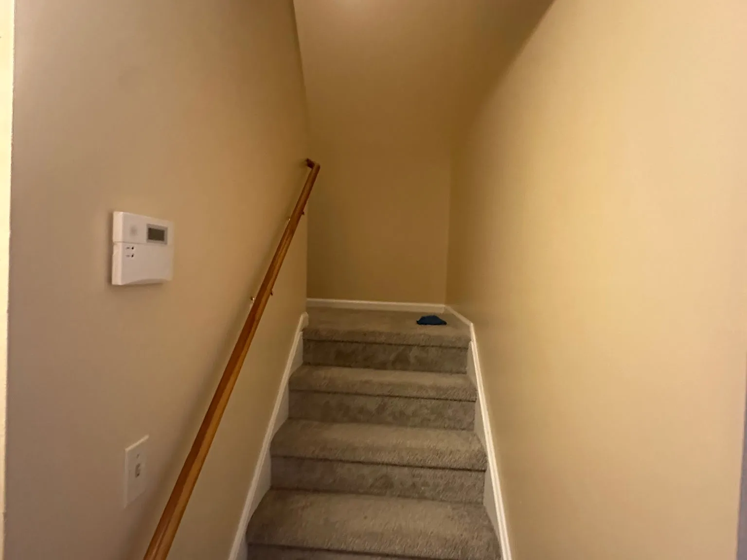 3 bed, 1.5 bath, $3,000 — Photo 4
