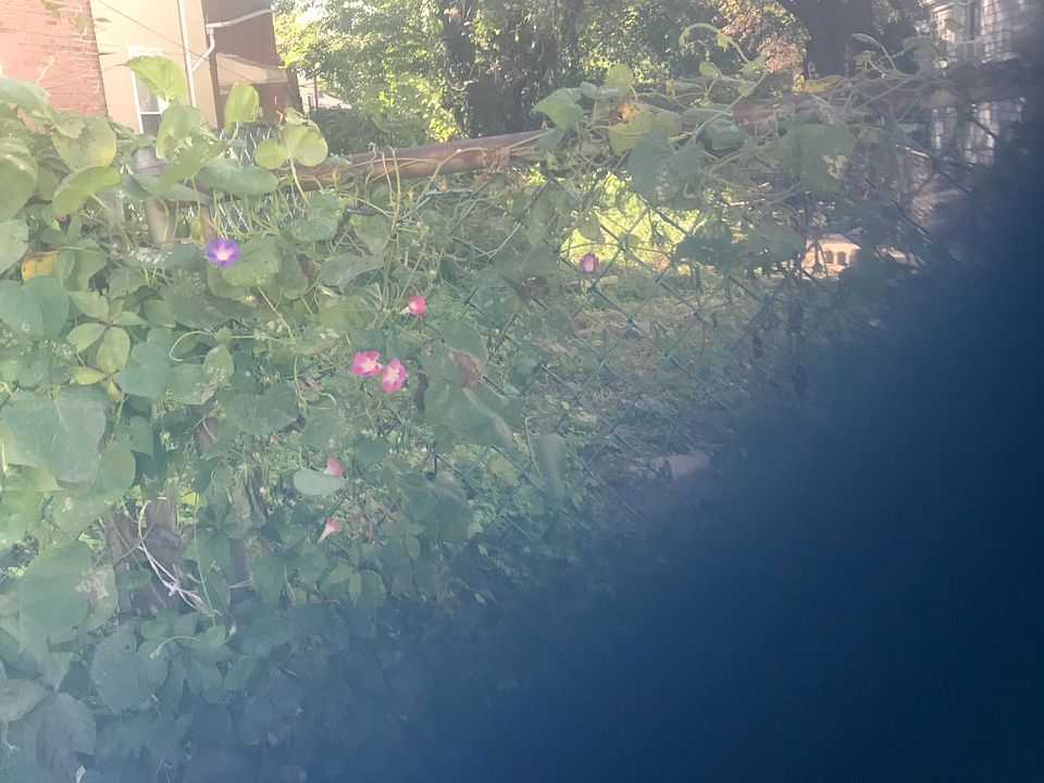 2nd image of 1352 Sellers St