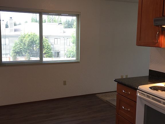 spacious kitchen, peek-a-boo view of lake, bright sunny corner apt