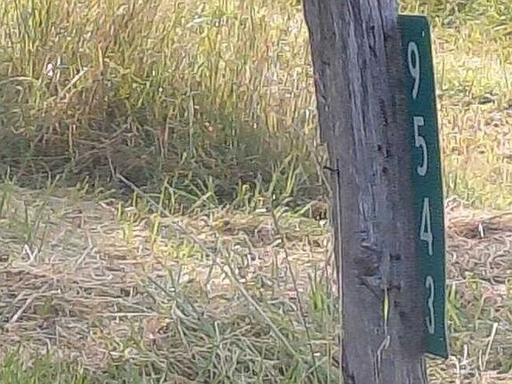 Exterior Address Verification