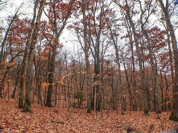 5th image of 0 Big Tavern Creek Rd