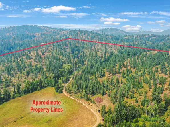 150 Weber Rd, Newport, WA 99156