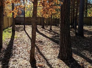 1 Pilot Point, Conroe, TX 77304