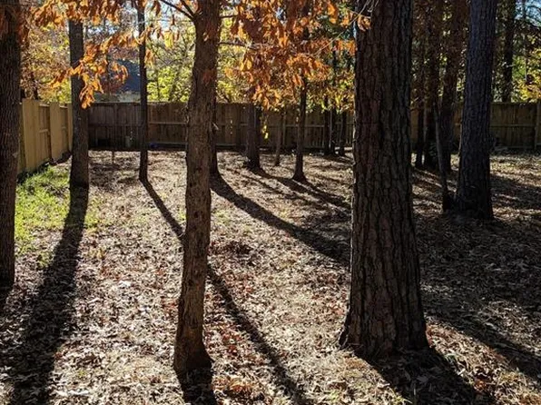 1 Pilot Point, Conroe, TX 77304