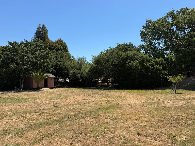 427 Bloom Ln — Photo 41