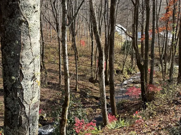 2094 Fisher Creek Rd, Sylva, NC 28779
