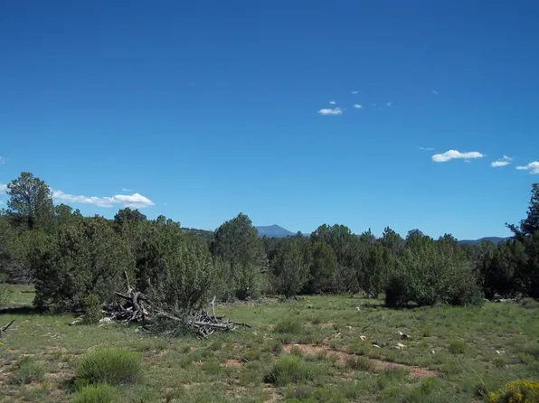 7354 Bird Dog Cir, Williams, AZ 86046